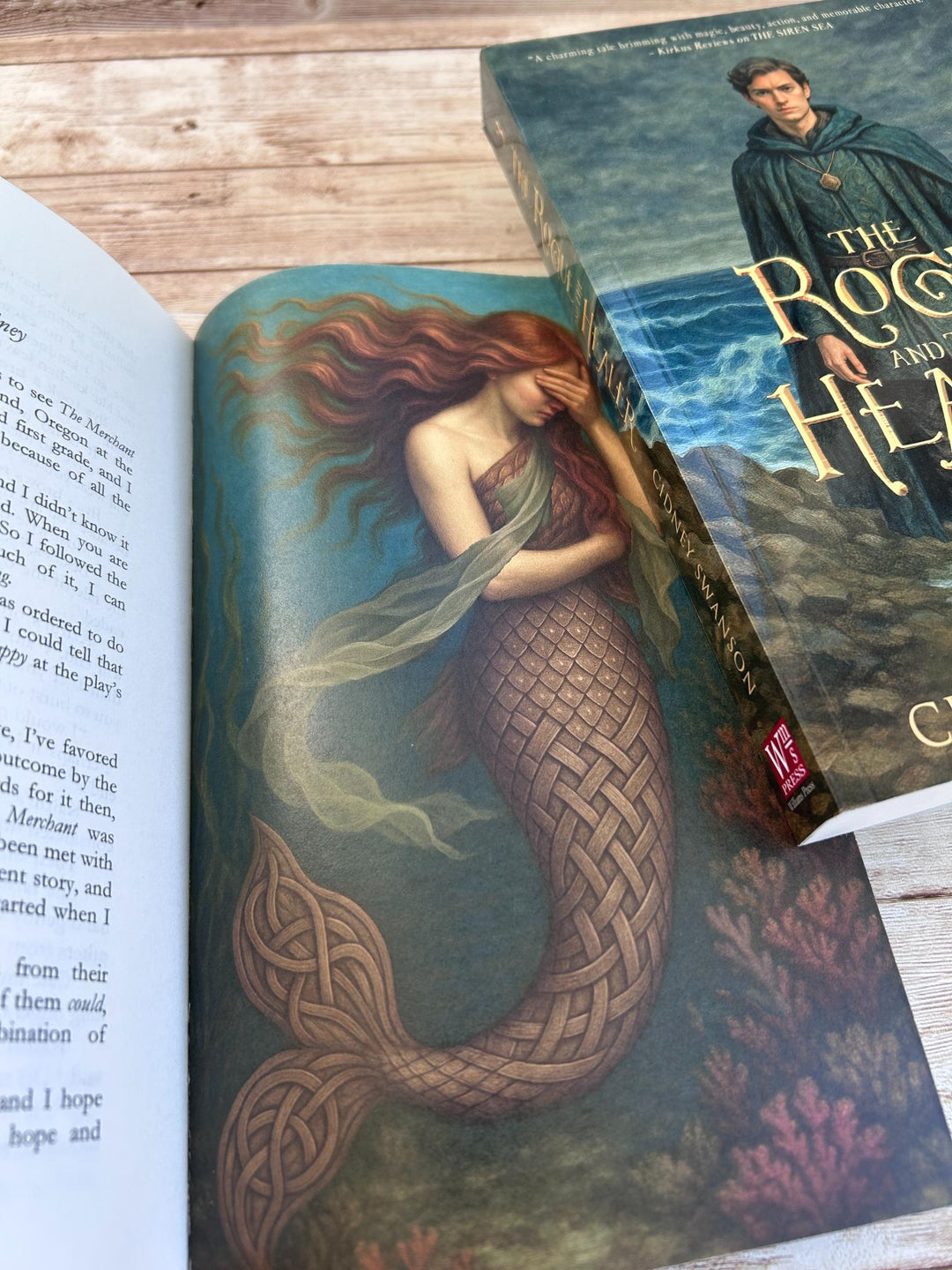 The Rogue and the Healer [Paperback]